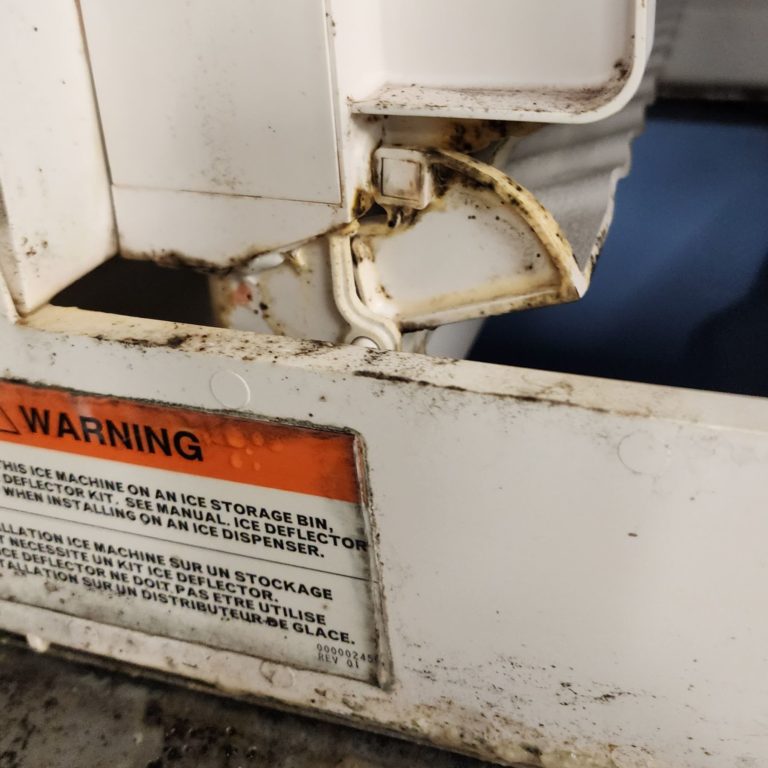 Ice machine sanitation